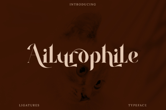 Ailurophile: A Charming Serif Font for Thoughtful Branding