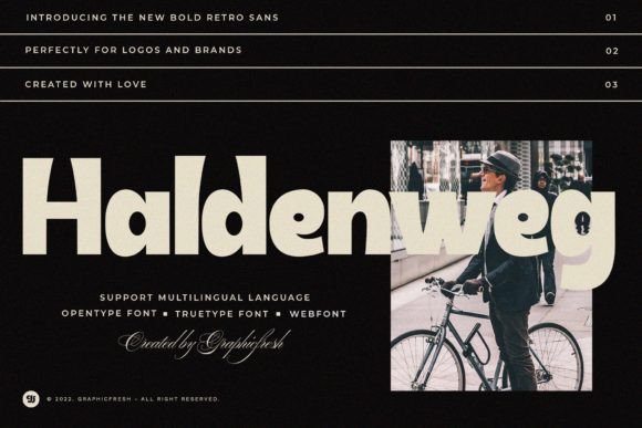 Haldenweg: A Bold Retro Sans Serif for Handmade Charm