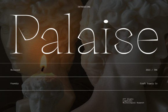 Palaise: A Charismatic Serif Font for Digital Impact