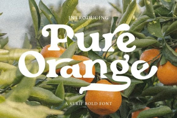 Pure Orange: A Serif Font with Warm, Editorial Soul