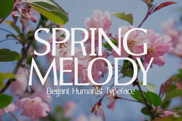 Spring Melody: A Humanist Sans Serif for Scroll-Stopping Brand Clarity